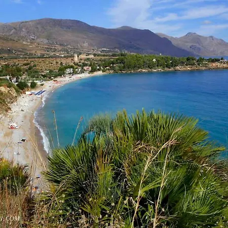 Cycas Costamante * Castellammare del Golfo