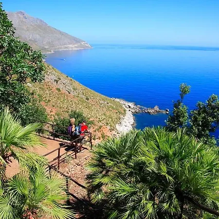 Cycas Costamante Castellammare del Golfo